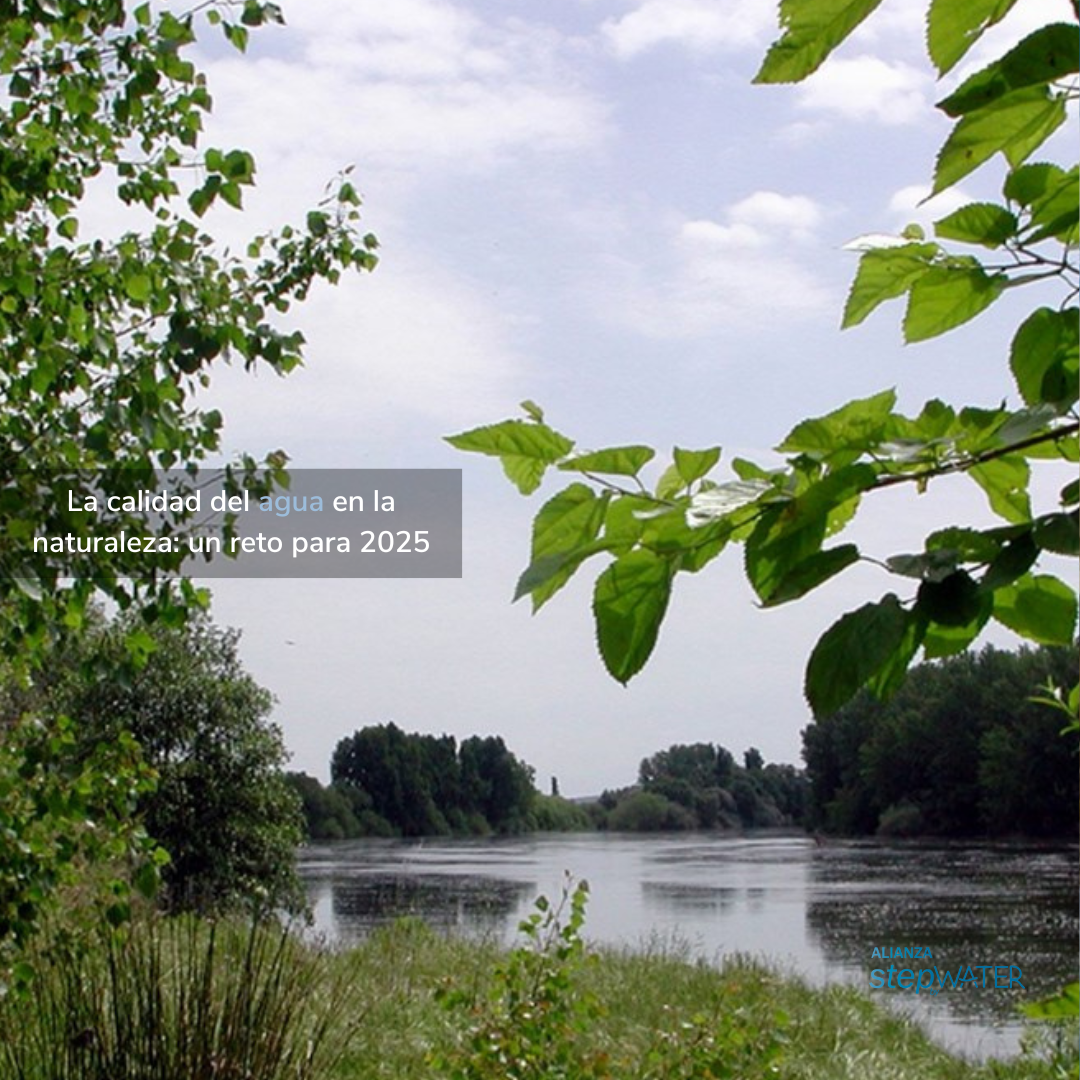 Mejorar la calidad del agua en los entornos naturales: un reto para 2025