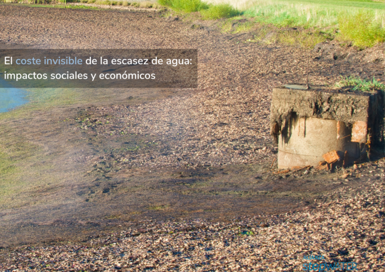 El coste invisible de la escasez de agua: impactos sociales y económicos