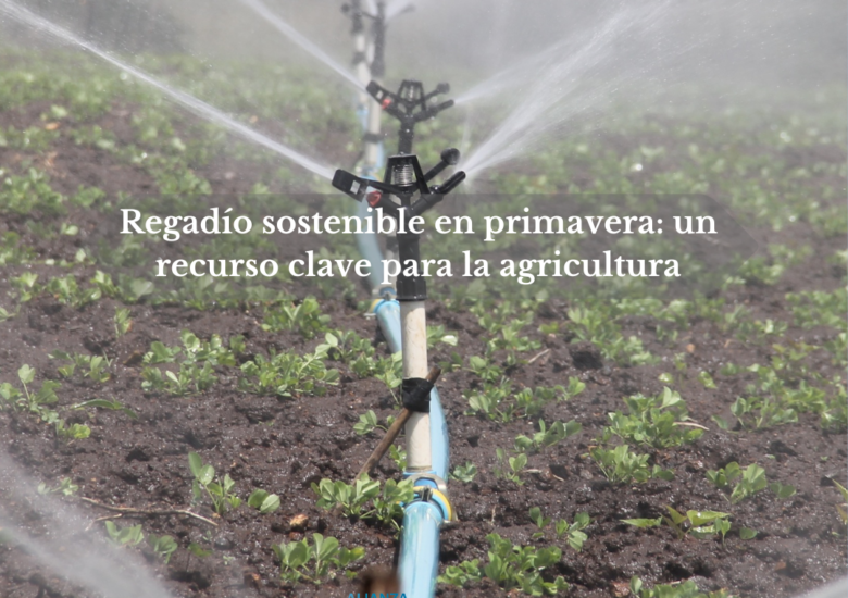 Regadío sostenible en primavera: un recurso clave para la agricultura