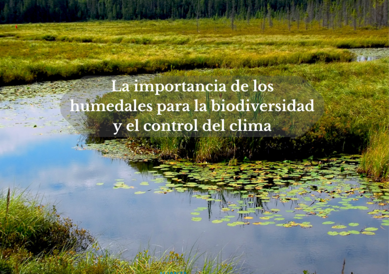 La importancia de los humedales para la biodiversidad y el control del clima
