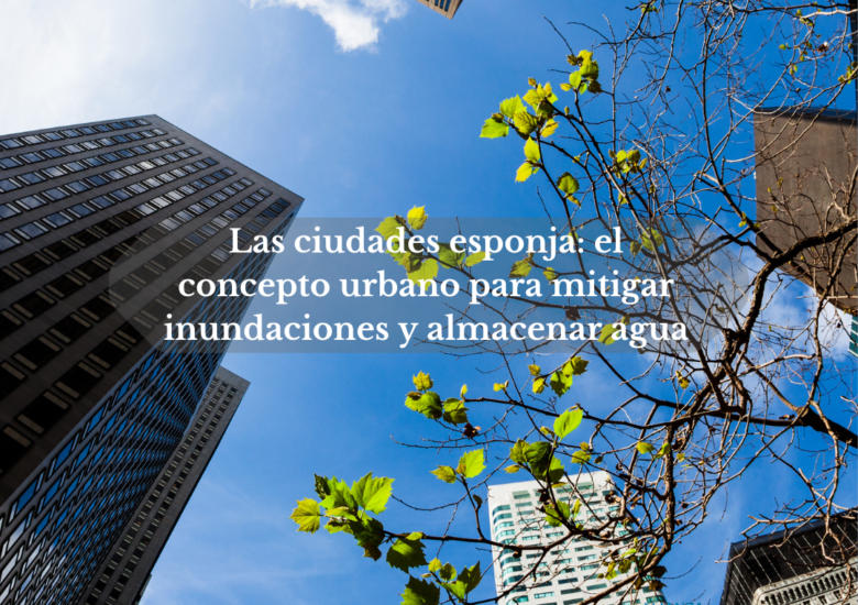 Las ciudades esponja: el concepto urbano para mitigar inundaciones y almacenar agua