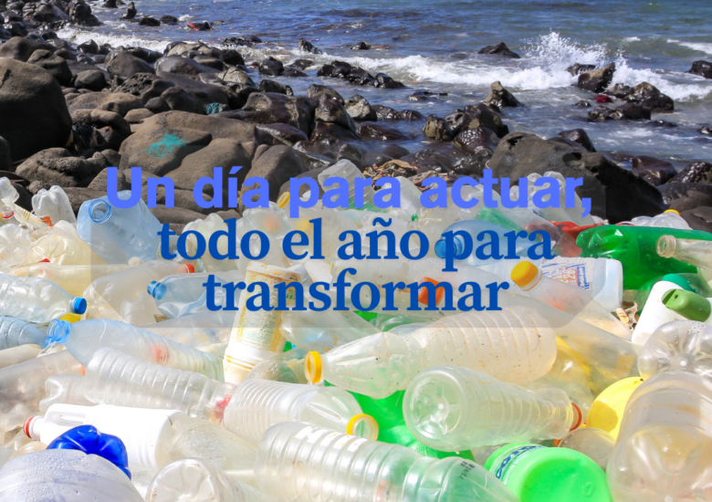 Día Mundial del Medioambiente: un día para actuar, todo el año para transformar
