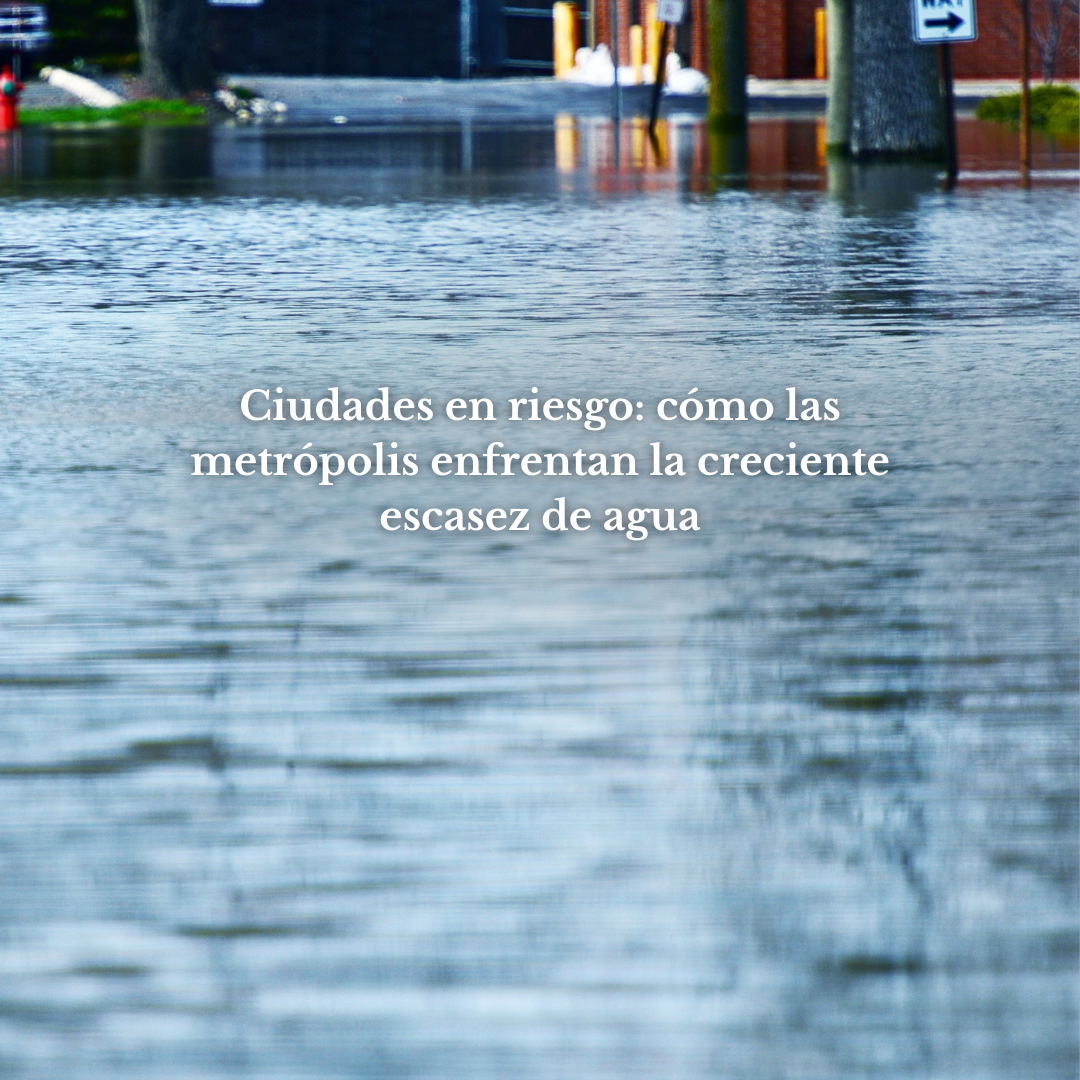 Ciudades en riesgo: cómo las metrópolis enfrentan la creciente escasez de agua