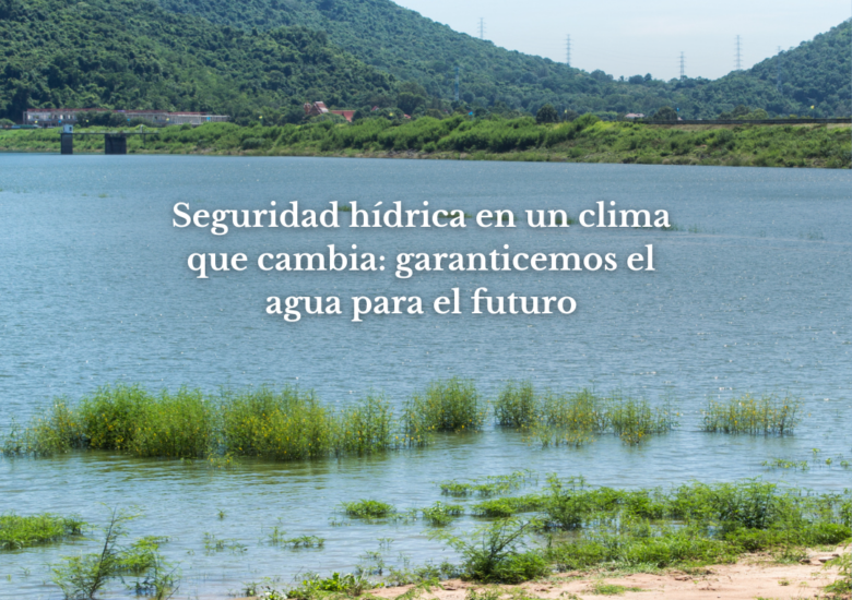 Seguridad hídrica en un clima que cambia: garanticemos el agua para el futuro