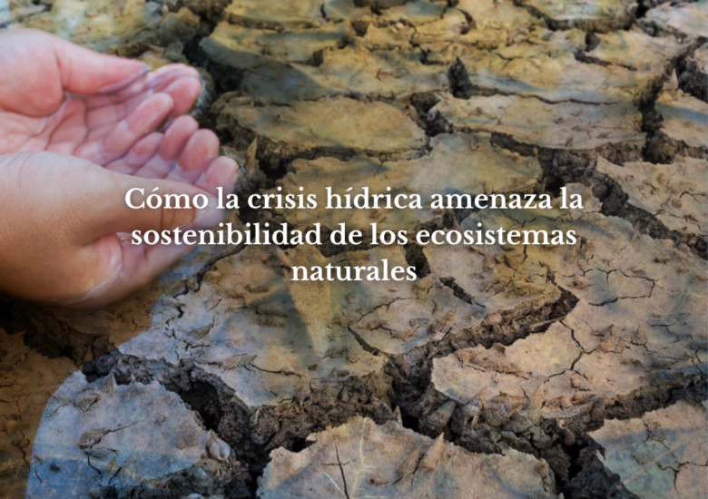 Cómo la crisis hídrica amenaza la sostenibilidad de los ecosistemas naturales