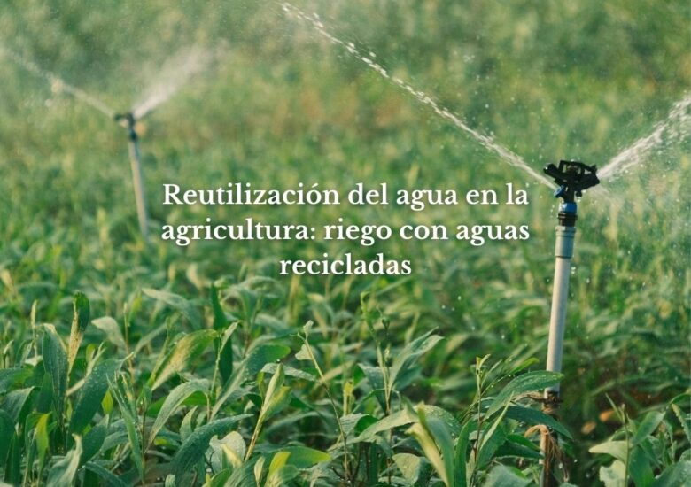 Reutilización del agua en la agricultura: riego con aguas recicladas