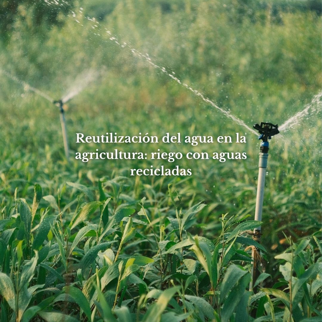 Reutilización del agua en la agricultura: riego con aguas recicladas