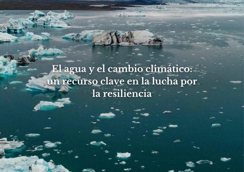 El agua y el cambio climático: un recurso clave en la lucha por la resiliencia