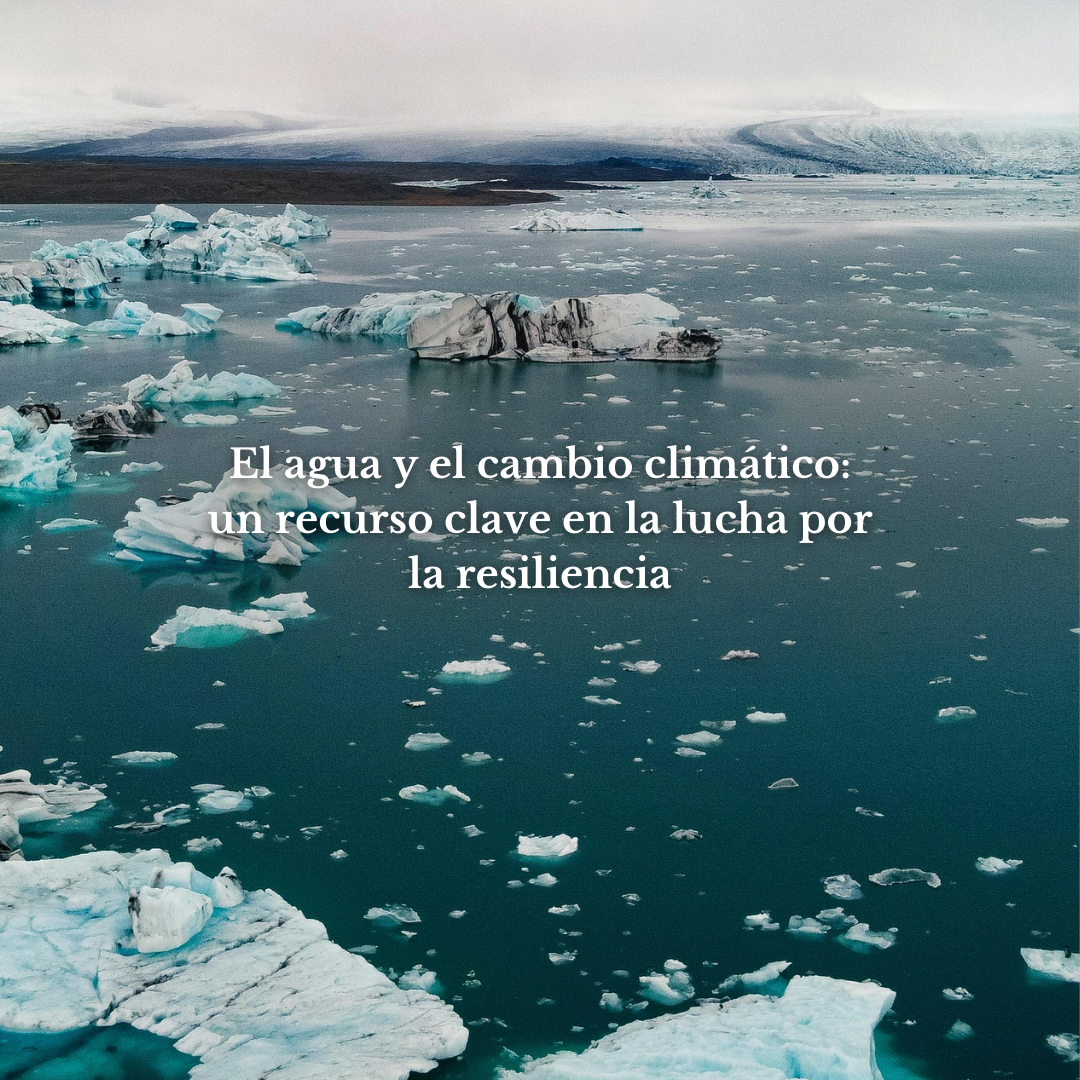 El agua y el cambio climático: un recurso clave en la lucha por la resiliencia