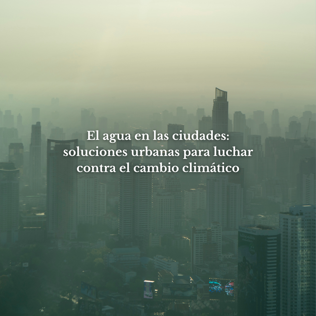 El agua en las ciudades: soluciones urbanas para luchar contra el cambio climático