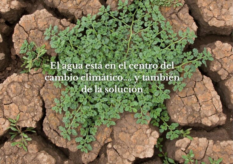 El papel del agua en las estrategias de adaptación climáticas