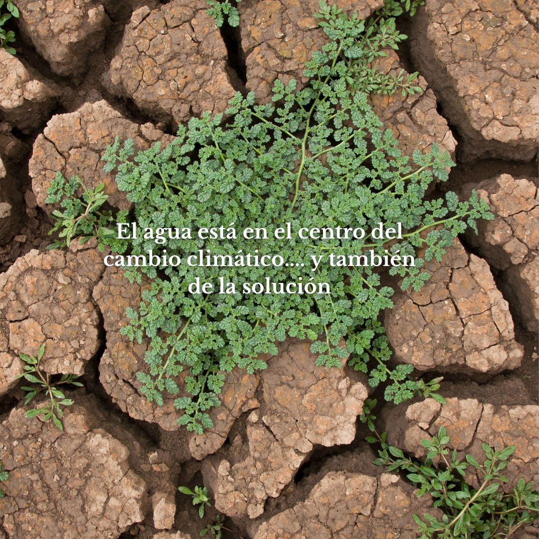 El papel del agua en las estrategias de adaptación climáticas