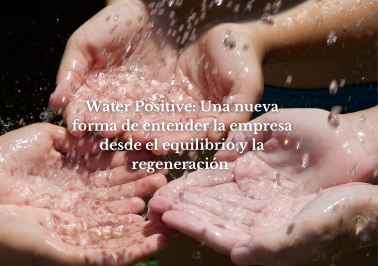 El papel del agua en las estrategias de adaptación climática