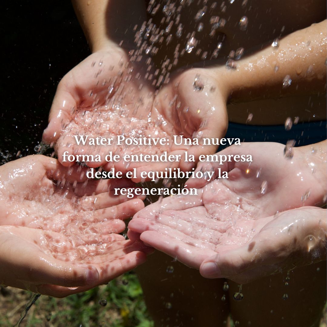 El papel del agua en las estrategias de adaptación climática