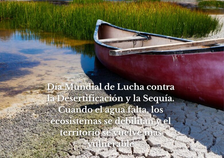 Cuando la tierra pide agua: sequía, incendios y desertificación, un mismo desafío