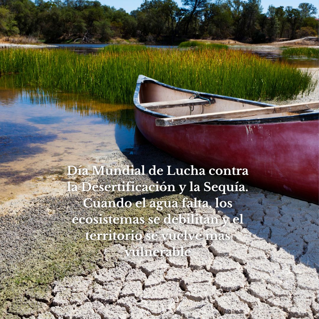 Cuando la tierra pide agua: sequía, incendios y desertificación, un mismo desafío