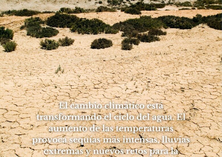 Cuando el clima cambia, el agua también: el reto de proteger el ciclo del agua