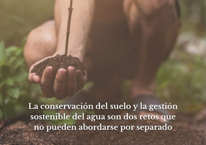 Día Internacional de la Conservación del Suelo: proteger el agua empieza por cuidar la tierra