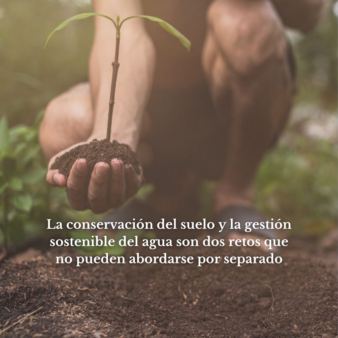 Día Internacional de la Conservación del Suelo: proteger el agua empieza por cuidar la tierra